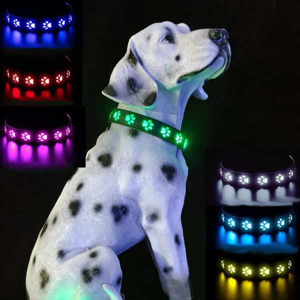 LED Dog Collar USB Rechargeable, Waterproof 7 Modes Light up Dog Collars Night Safety High Visibility for Night Walking, Adjustable Safety Necklace Dog Collar for Small Medium Large Dog